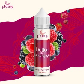 Délice de Fruits Rouges - Plume - 50ml (Par 6)
